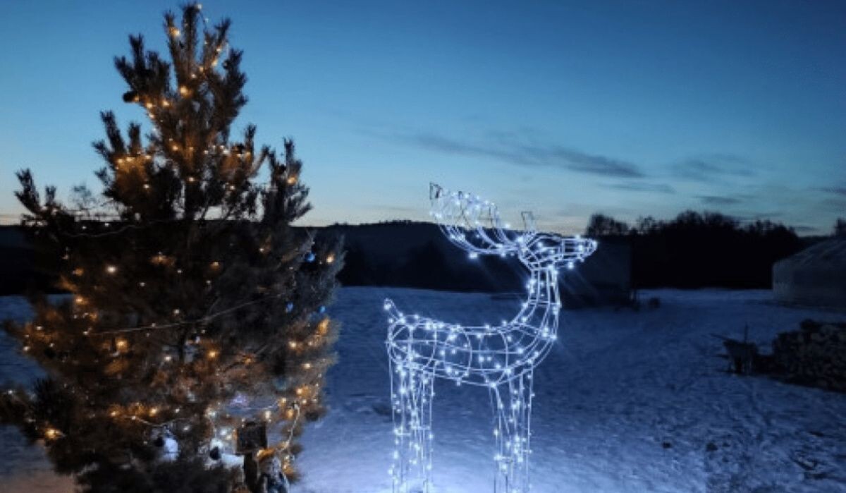     Башкирия. Источник: bashkortostan.ru Автор фото: Пресс-служба РБ