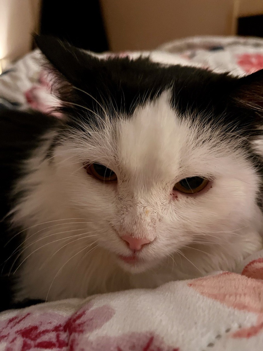 Лизавета Петровна размышляет о жизни.