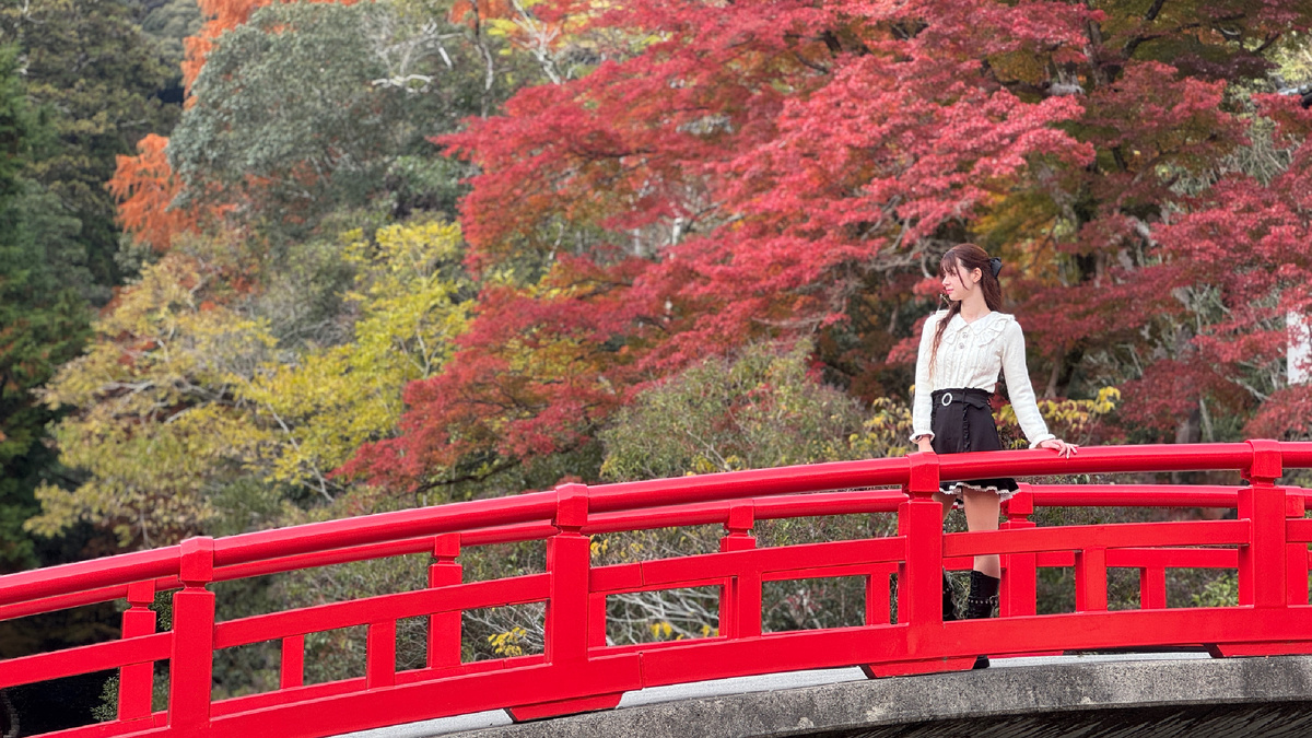 Автор блога 