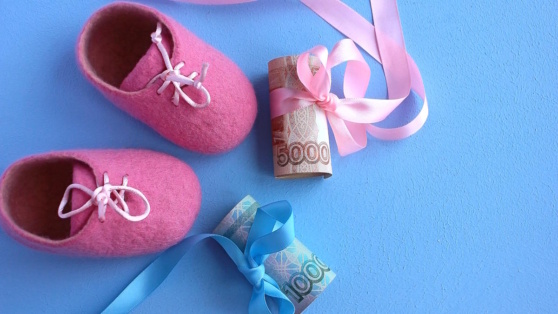    Социальный фонд РФ досрочно выплатит детские пособия к Новому году Богдан Герцен