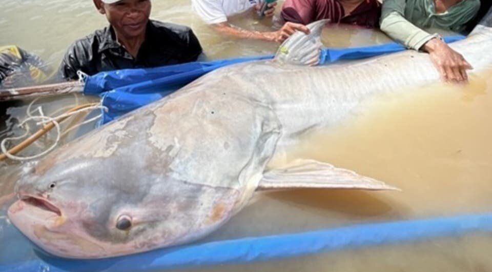   Wonders of the Mekong / Facebook*