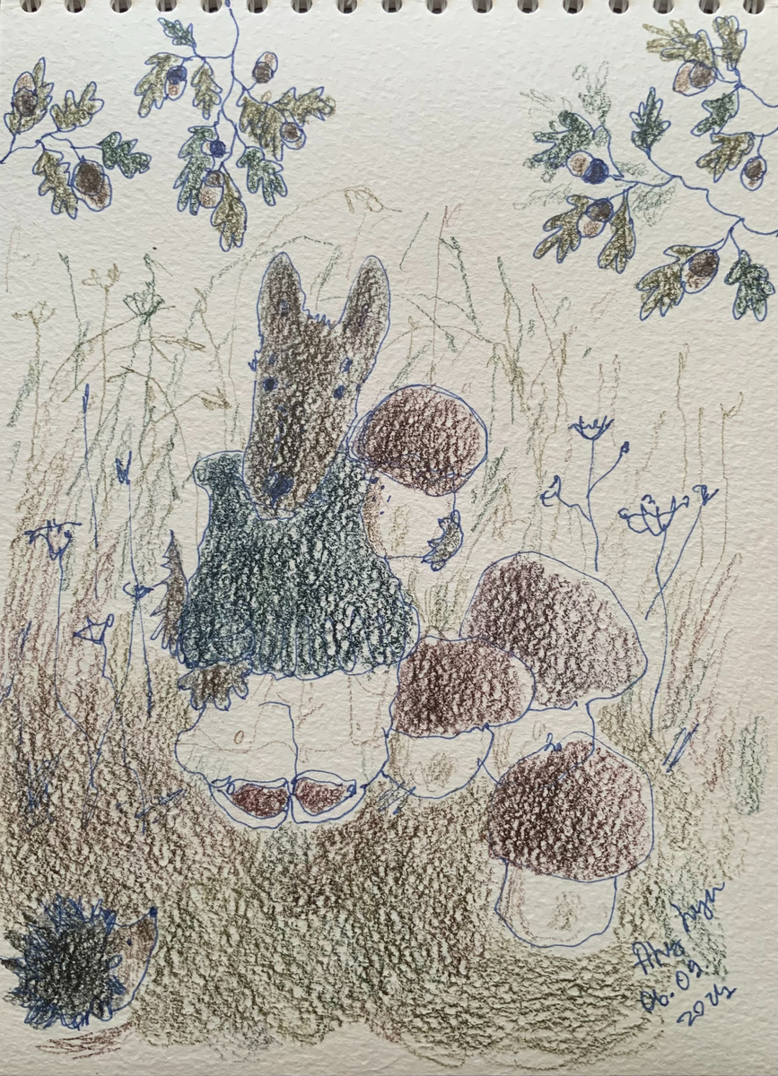 История Волчка и Лисички