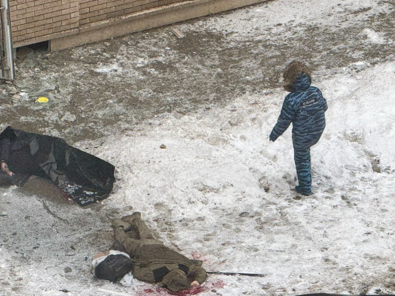    Фото: Petrov Sergey/news.ru/Global Look Press