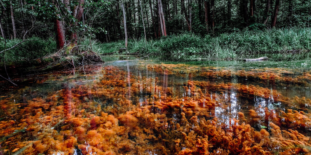 Красные реки и черный песок: 9 необычных природных мест в России