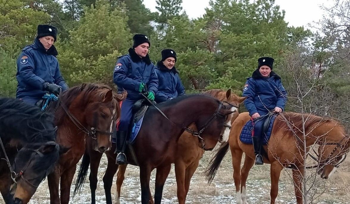     Дружинники Всевеликого войска Донского. Источник: donland.ru Автор фото: Правительства Ростовской области