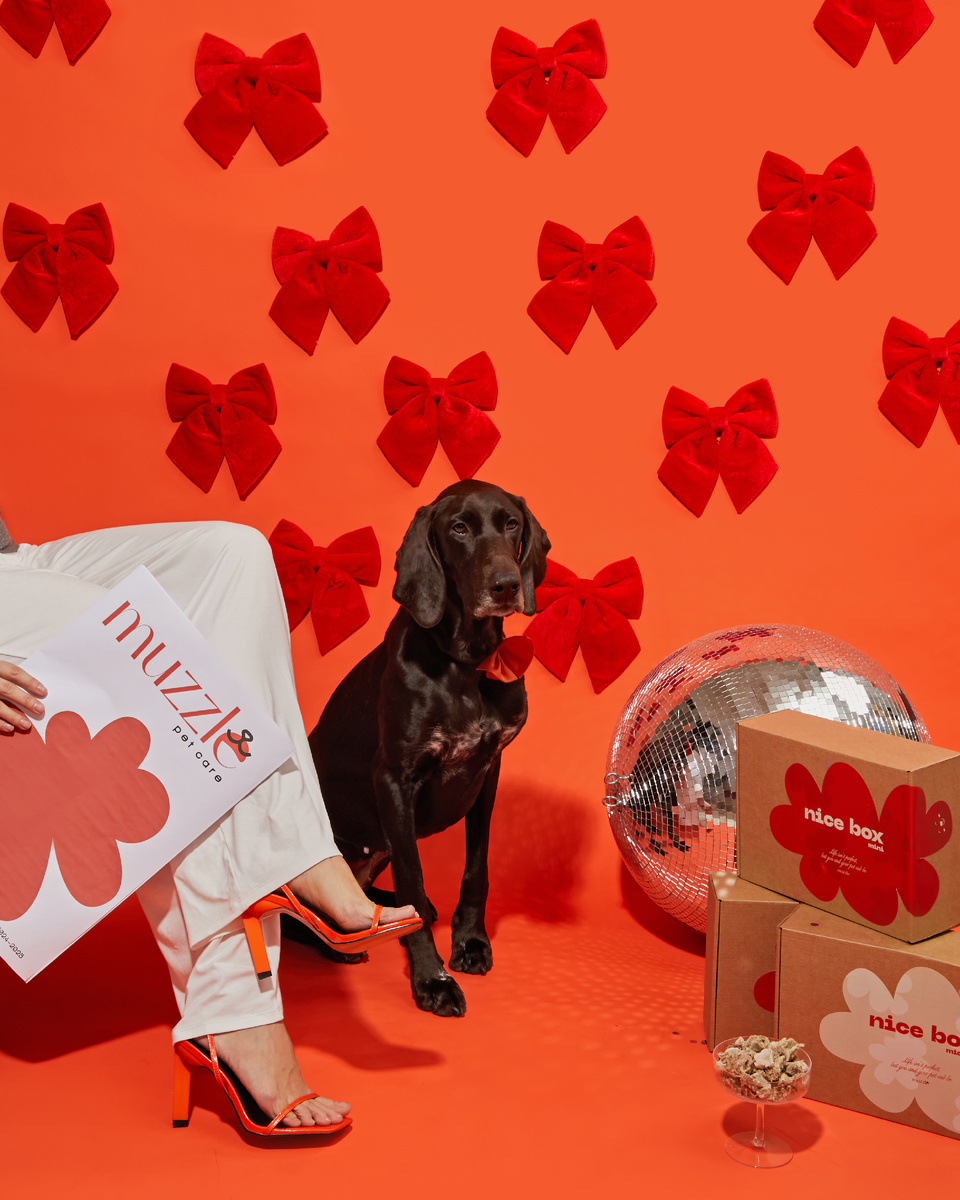 стильные и качественные подарки для тех, кто любит своих питомцев