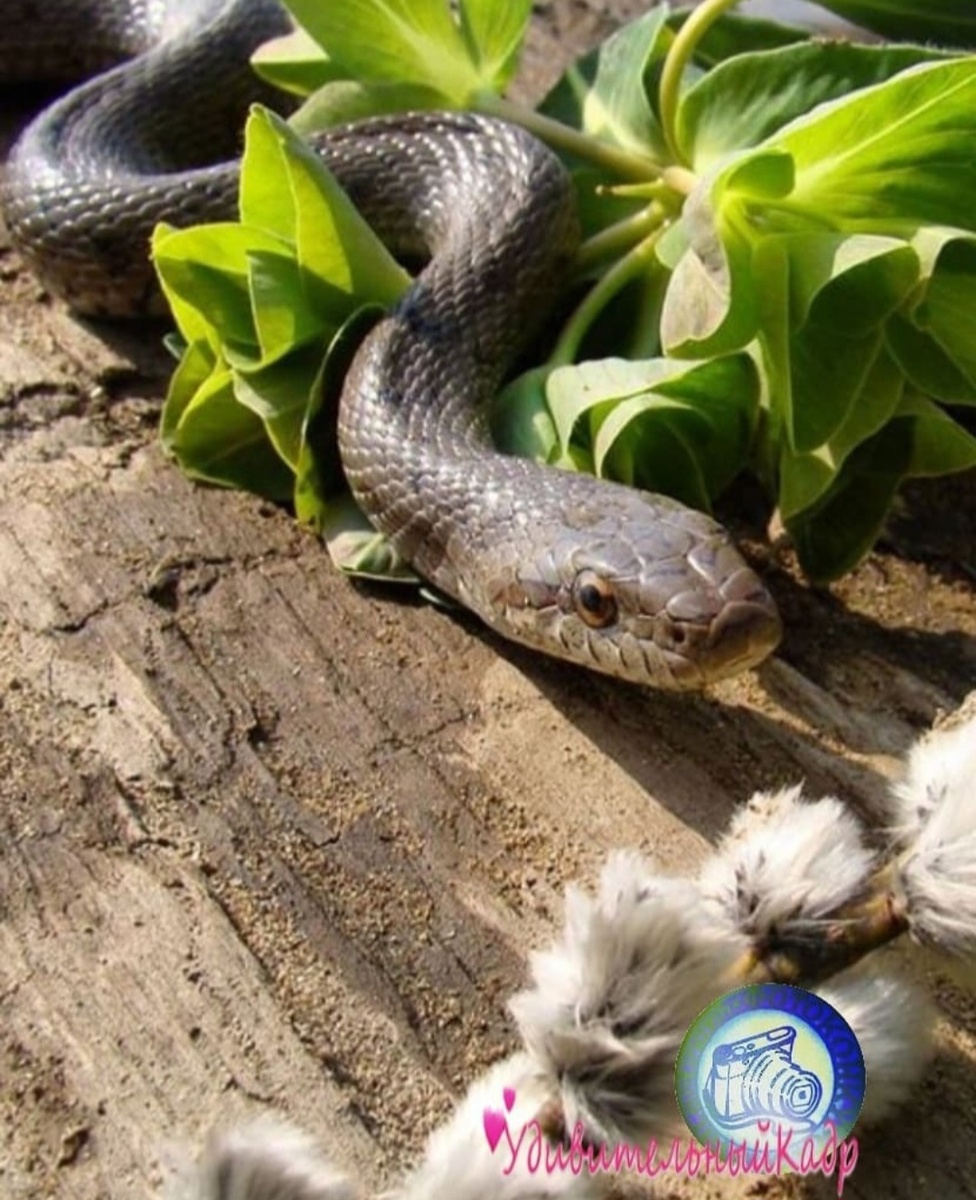 Автор фото @komisarova65