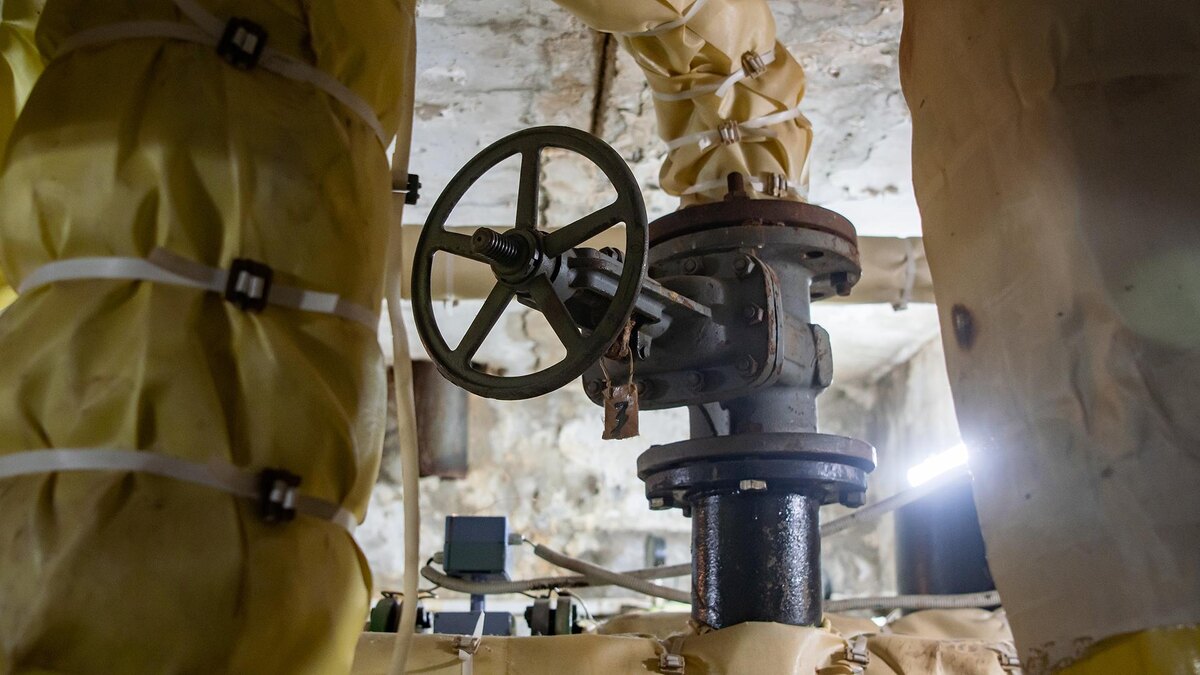    Фото: Oleg Spiridonov/Business Online/globallookpress.com