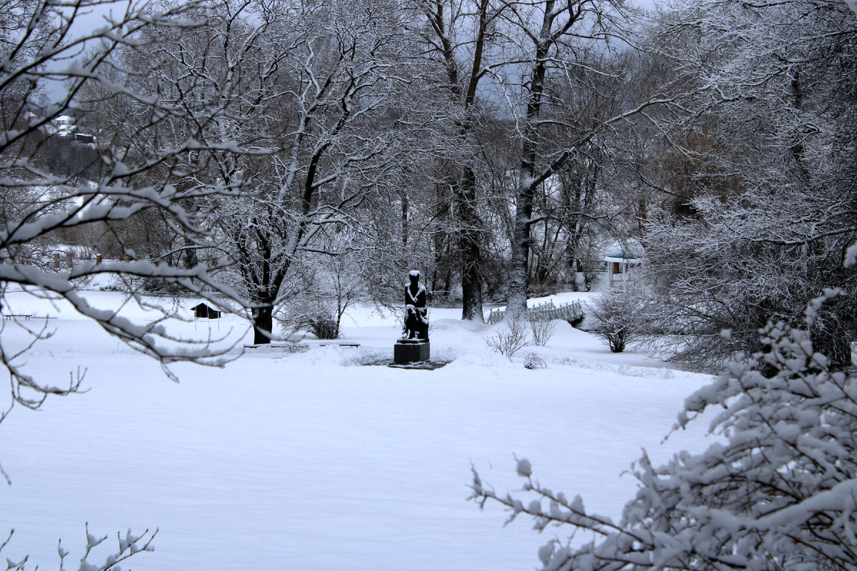 Усадебный парк Овстуга зимой. 
