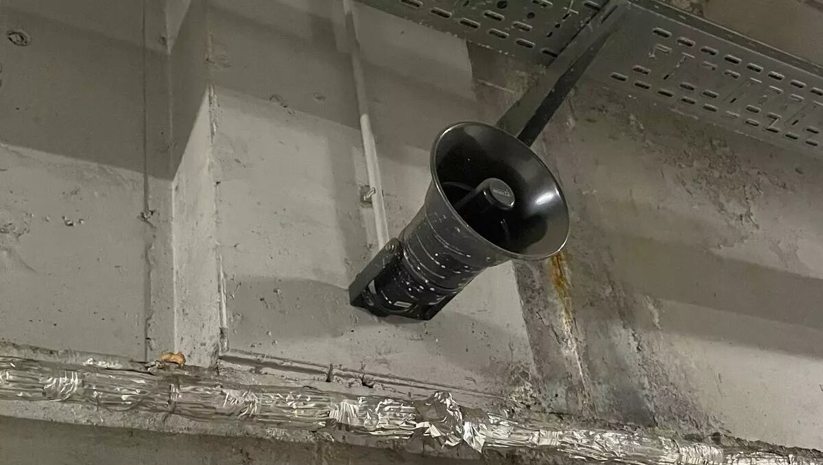     Источник: rostovgazeta.ru