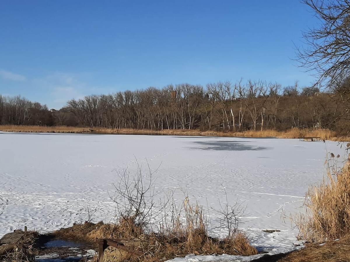 Фото Елены Погореловой