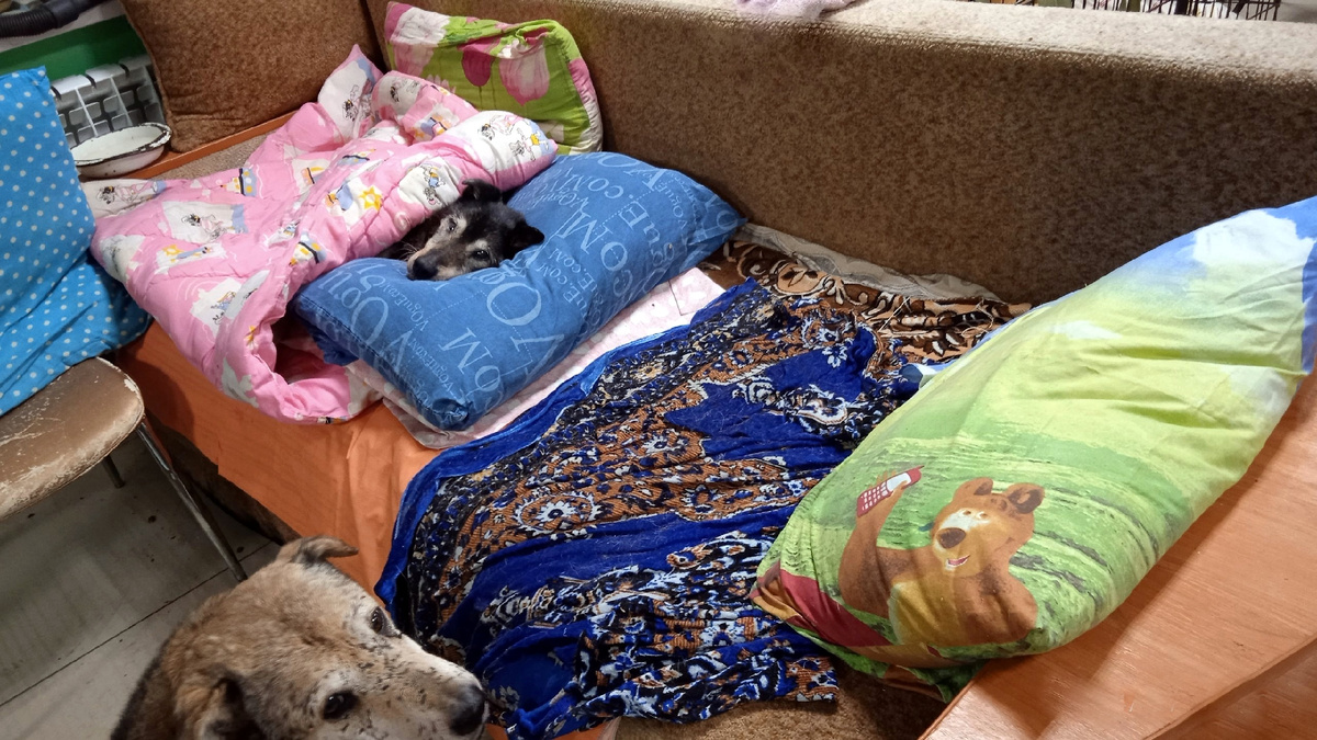 Но потом вернулся, а вдруг и ему что-то перепадет