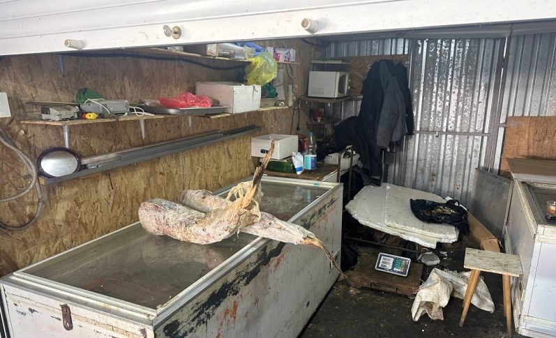 В подсобном помещении полицейские нашли две большие тушки русского осетра.