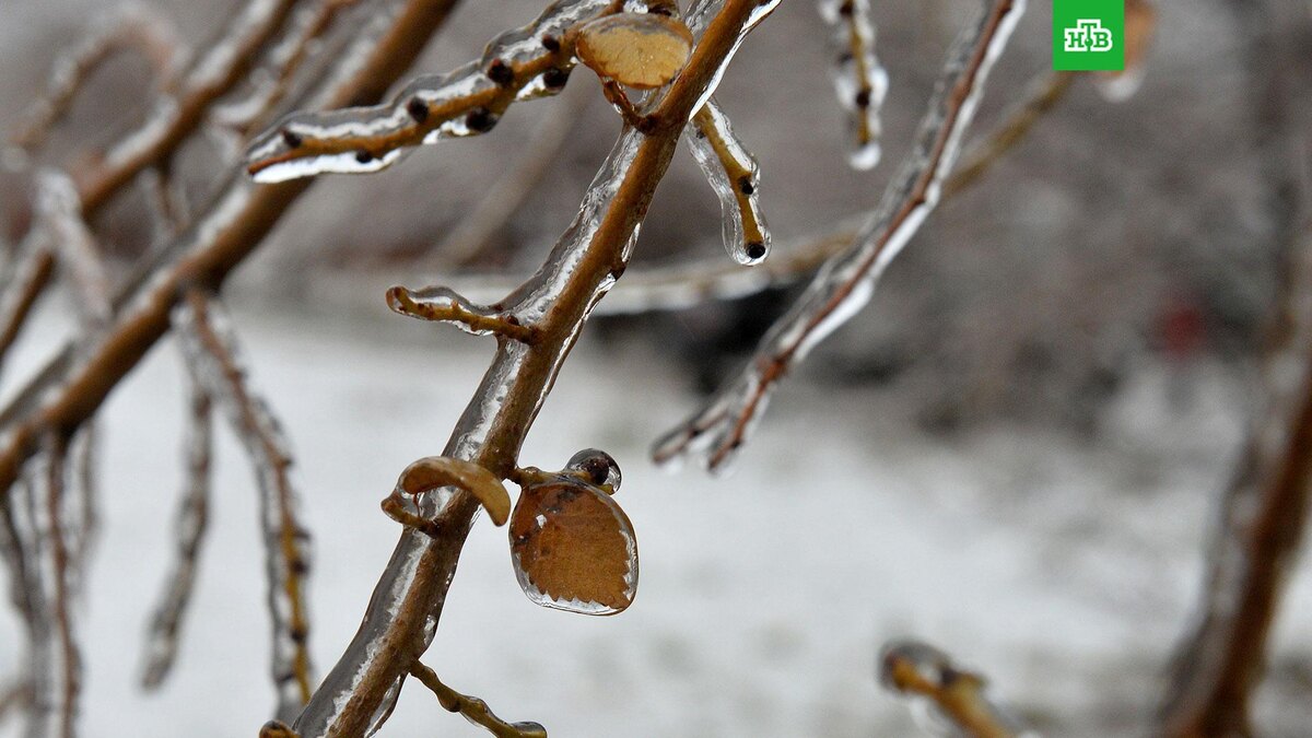    Фото: РИА Новости © 2024, Максим Богодвид