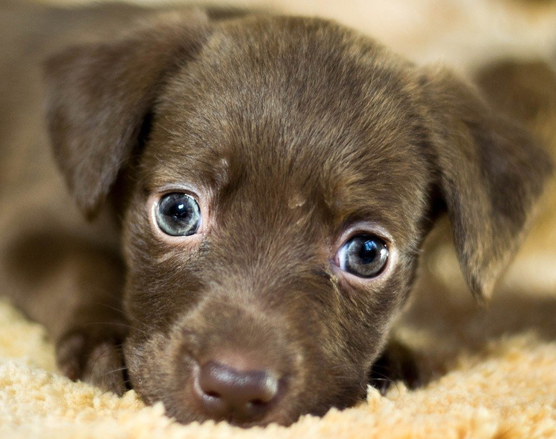 Источник https://fotostrana.ru/public/post/234961/1930303565/