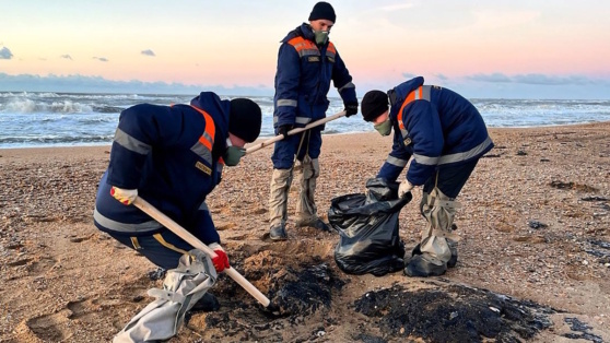    Президент РФ назвал разлив мазута в Керченском проливе экологической бедой Богдан Герцен