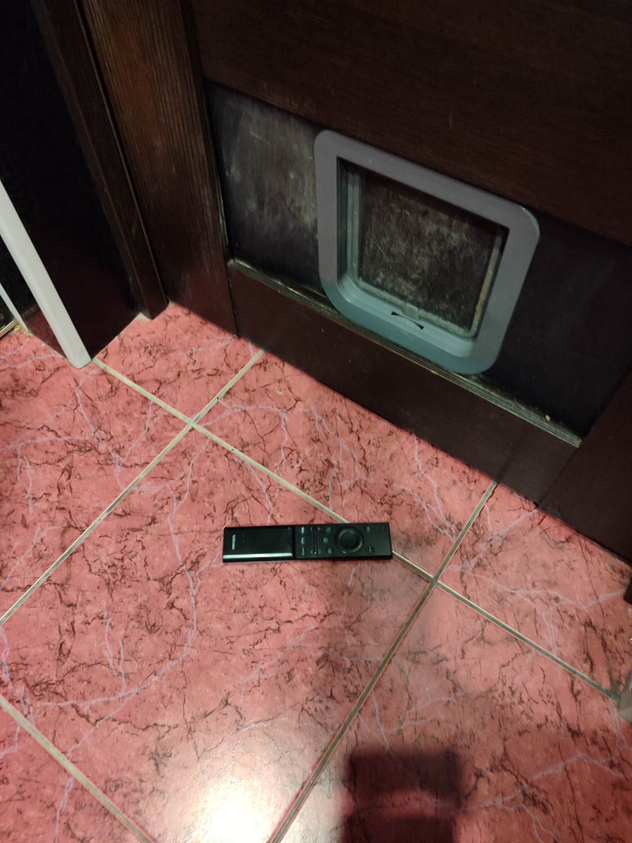 Принёс пульт