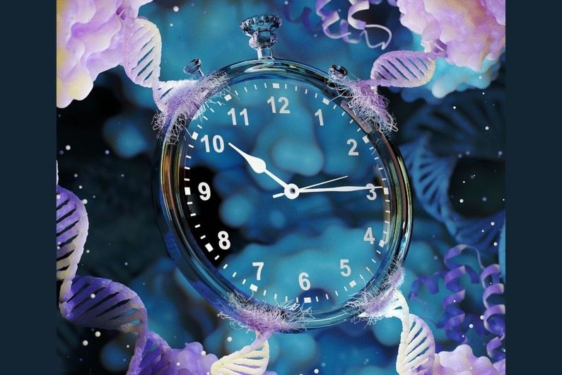 Исследовательская группа во главе с проф. Алексисом Валле-Белли открыла способ программирования биомолекул или наномашин, чтобы они могли активироваться в разное время, действуя как молекулярные таймеры. Изображение иллюстрирует, что время на молекулярном уровне может быть запрограммировано теми же биомолекулами, которые составляют живые организмы. Она сосредоточена на ДНК, биомолекуле, которая позволила группе исследователей изучить биохимические механизмы, регулирующие время.