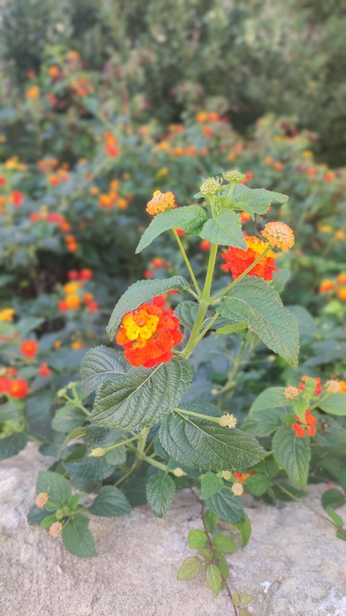 Фото из личного архива 