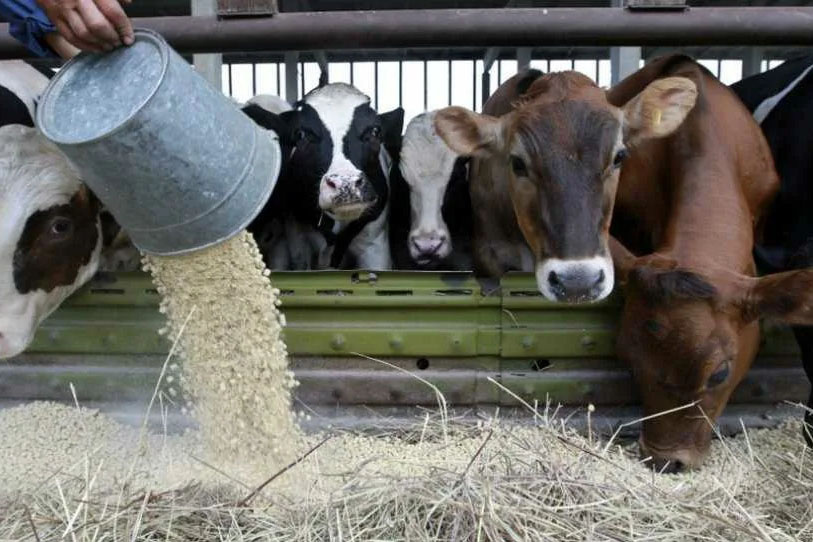 источник Яндекс-картинки