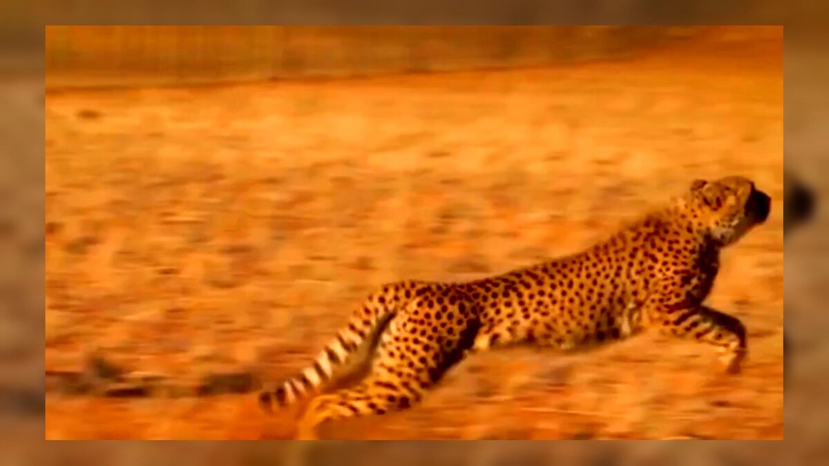 Автор: В. Панченко