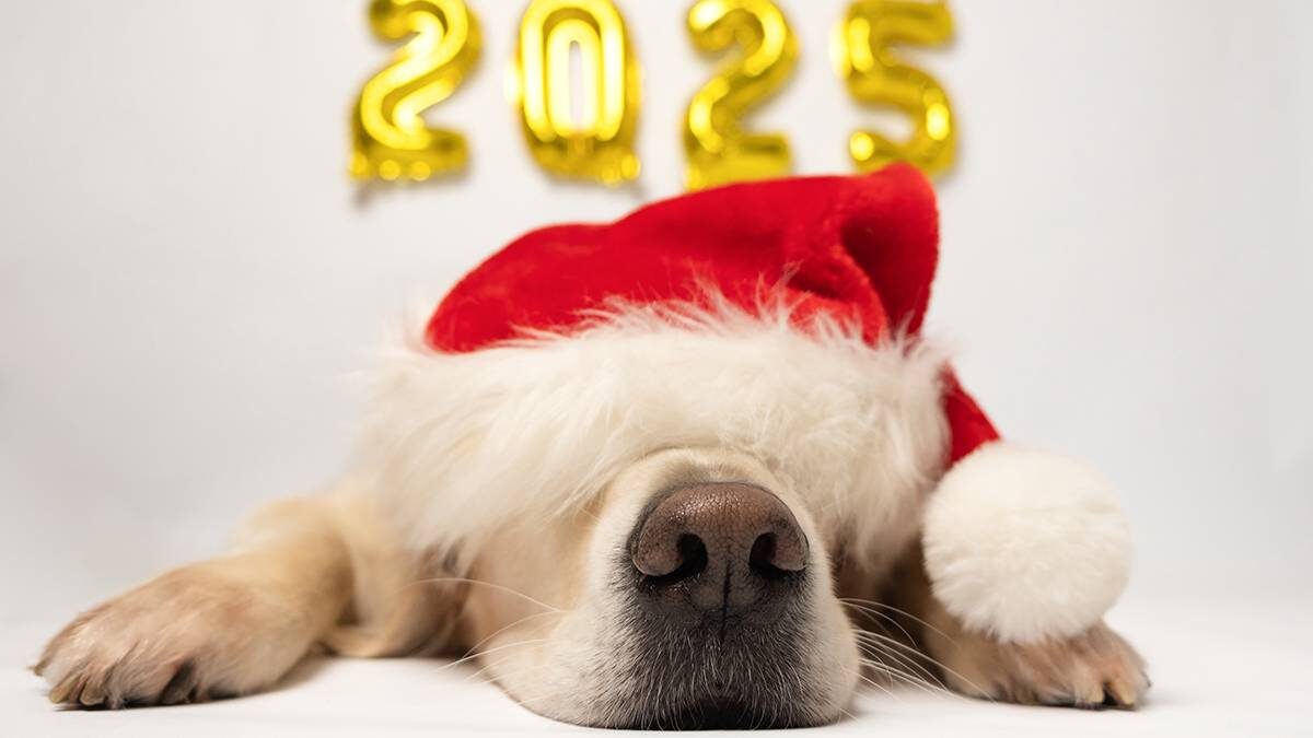    Фото: Shutterstock