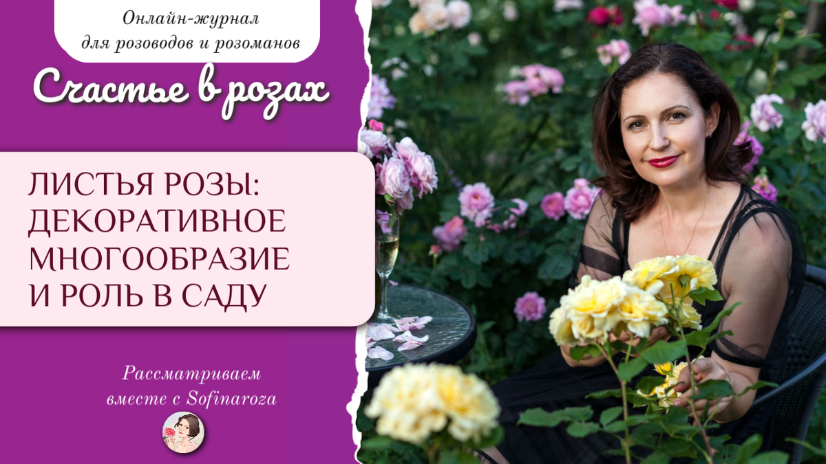 «Счастье в розах», выпуск №6, 19 декабря 2024г.