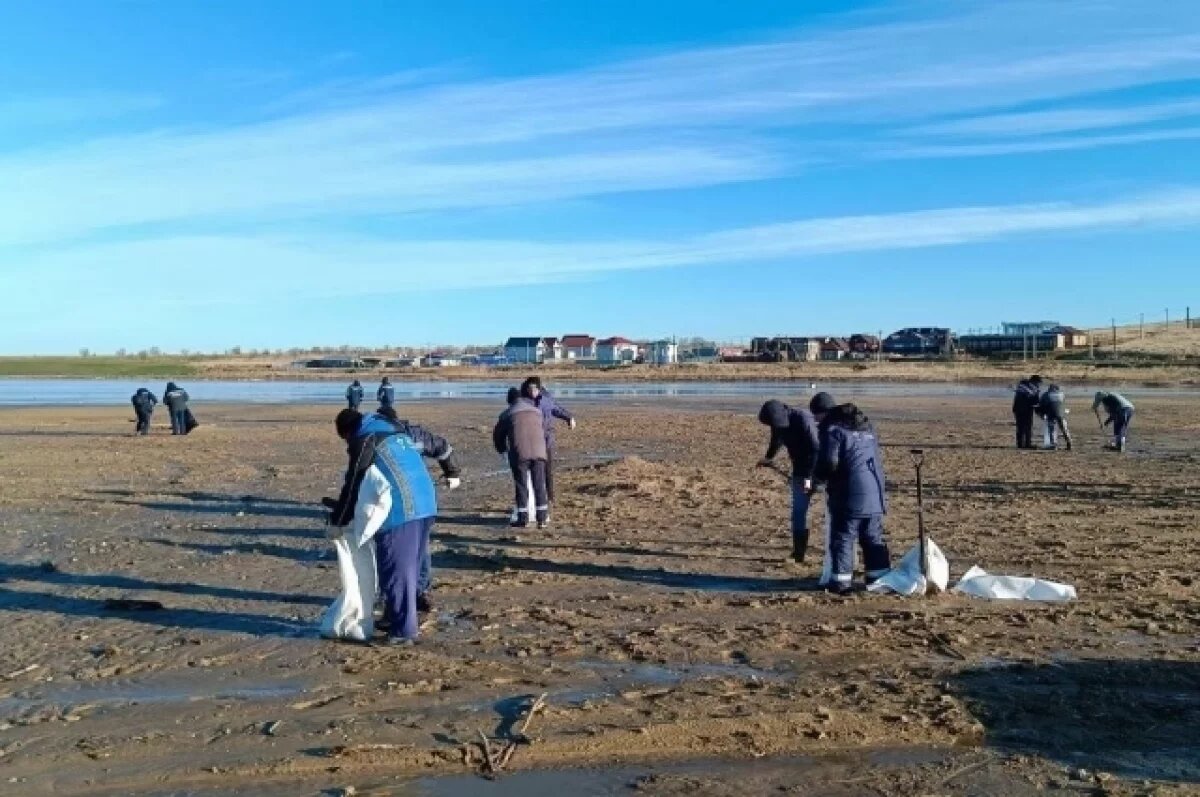    В Краснодарском крае убрали более 860 тонн загрязненного мазутом грунта