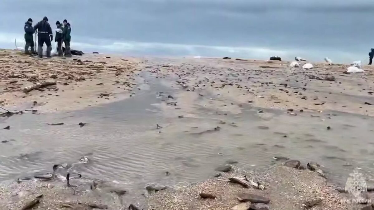 Источник https://newsnn.ru/attachments/495ea003430997630270026d32f6049549c627dc/store/crop/0/-52/1914/1076/1914/1076/0/3010789e9333be882512bb4a866e51bff1980123435213d3b095d61702d1/1734437167278.webp