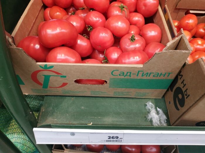    Фото: Архив Uralweb.ru