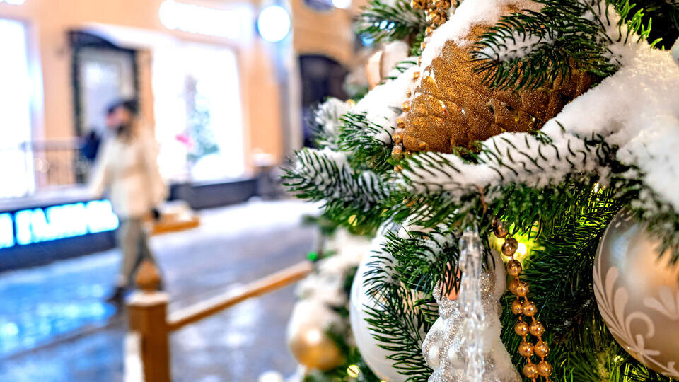 Фото: © ИЗВЕСТИЯ/Константин Кокошкин