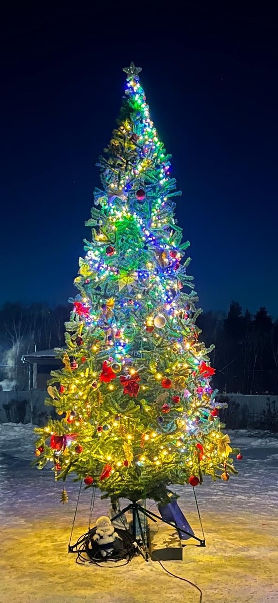 Та самая елка