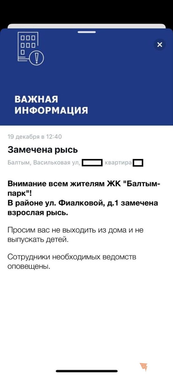    Жителей Балтыма предупредили об опасном хищнике на улице