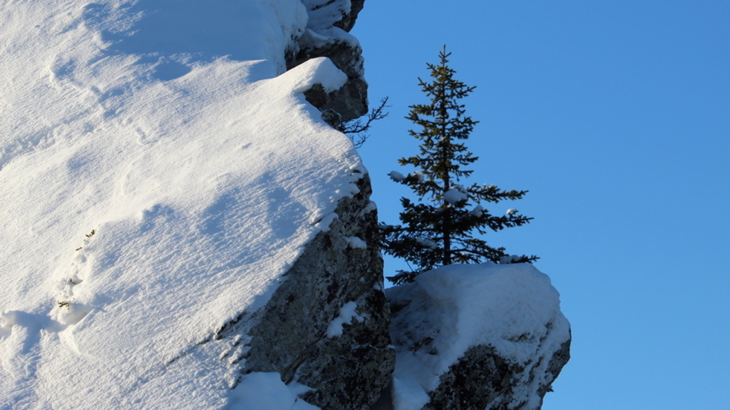    Фото: Царьград/Пермь