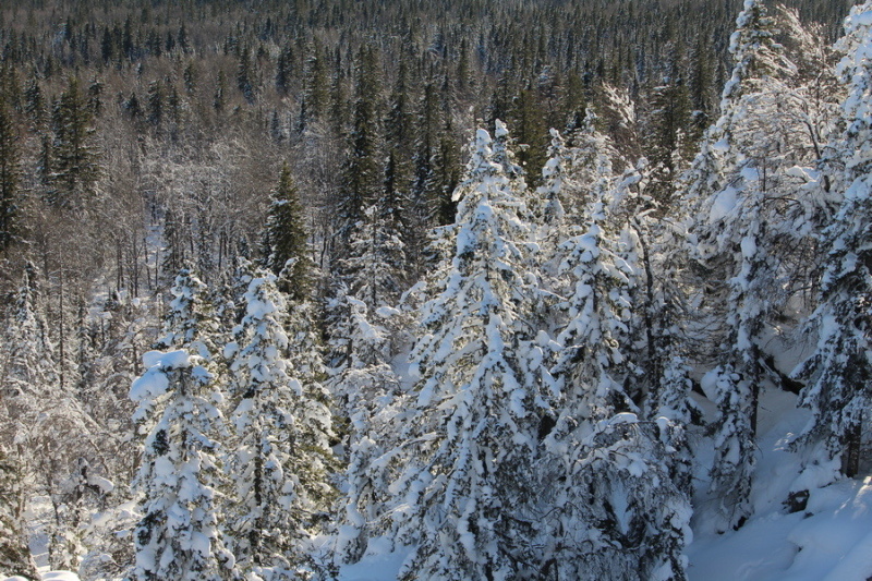    Фото: Царьград/Пермь
