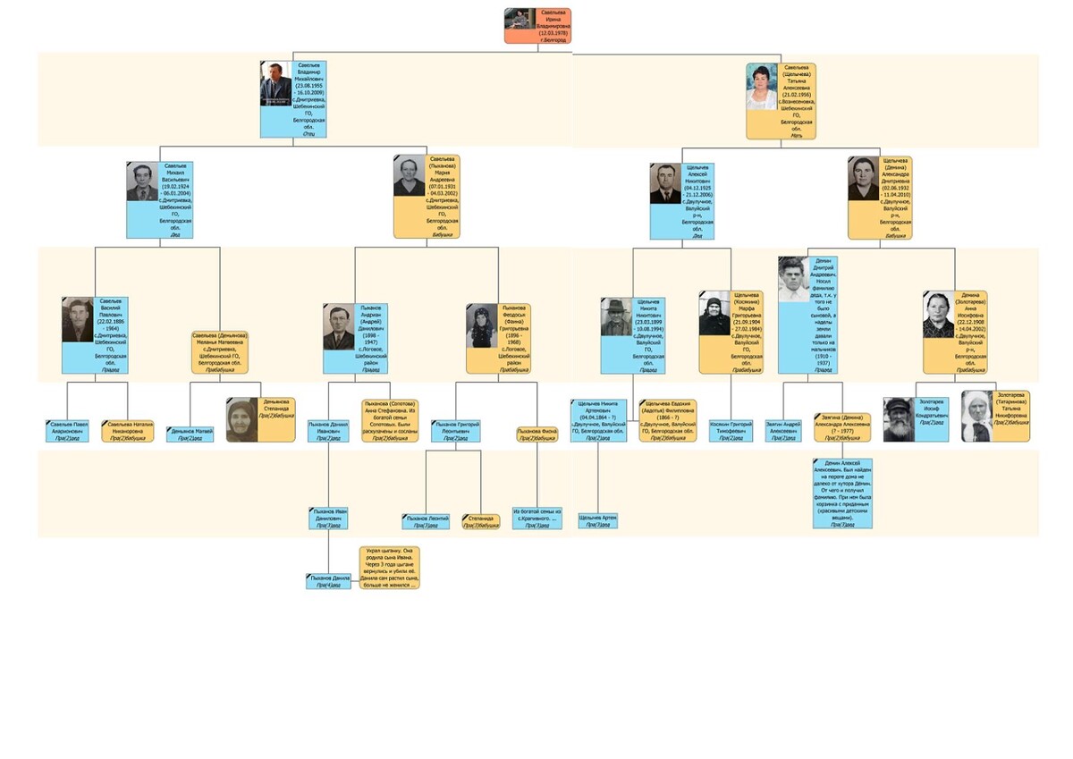 Семейное древо семьи И. Савельевой
