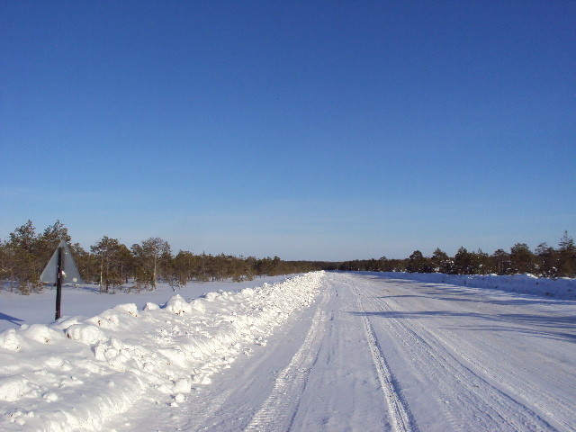Зимник Демьянское - Болчары.