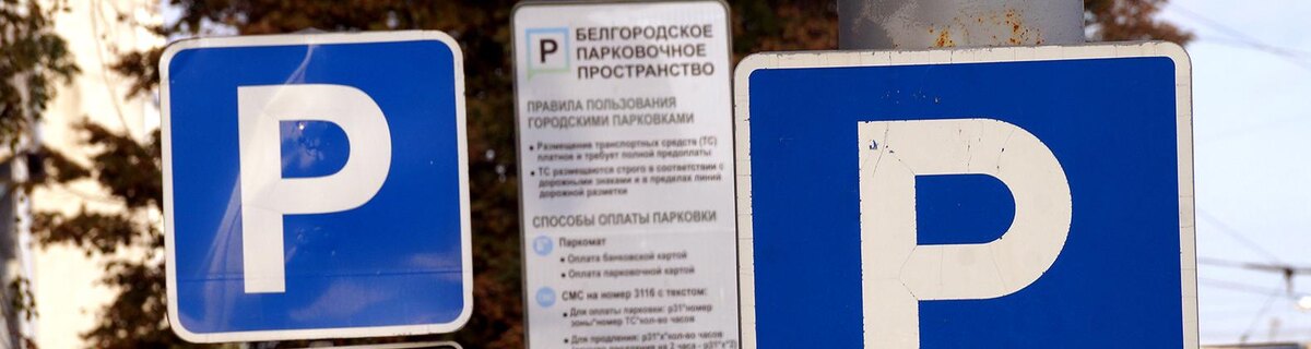    Фото: Сергей Егоров