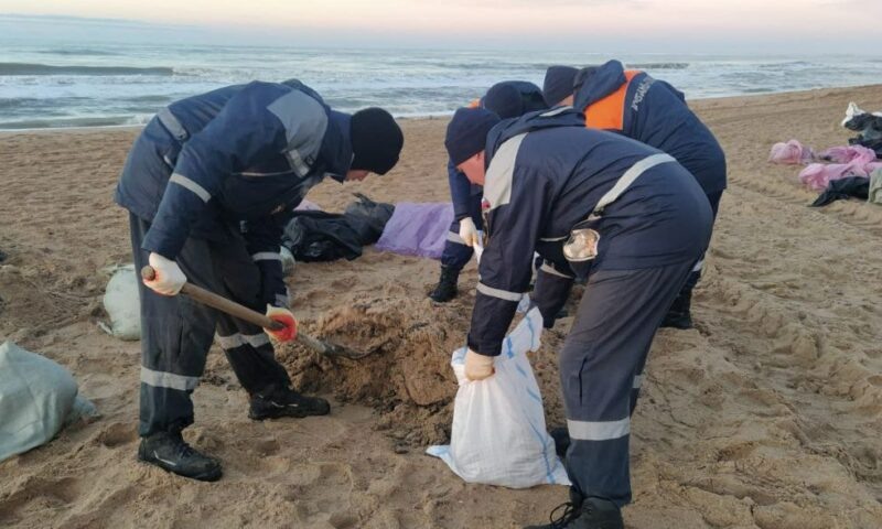    Фото пресс-службы администрации Краснодарского края