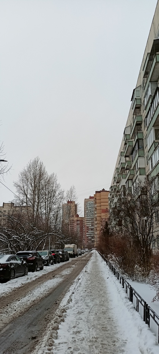 Фото автора.