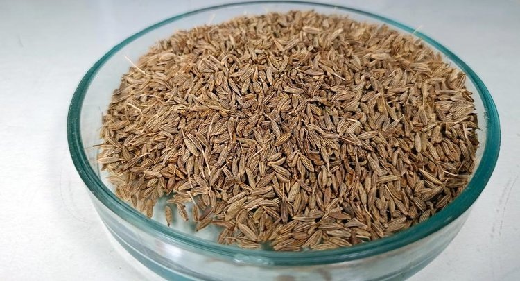    Индия значительно нарастила поставки кумина в Россию