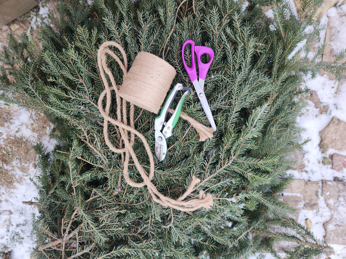 Все что надо для елки