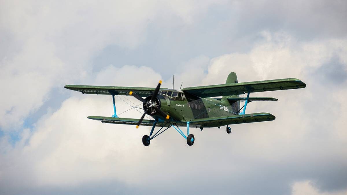    Фото: Shutterstock