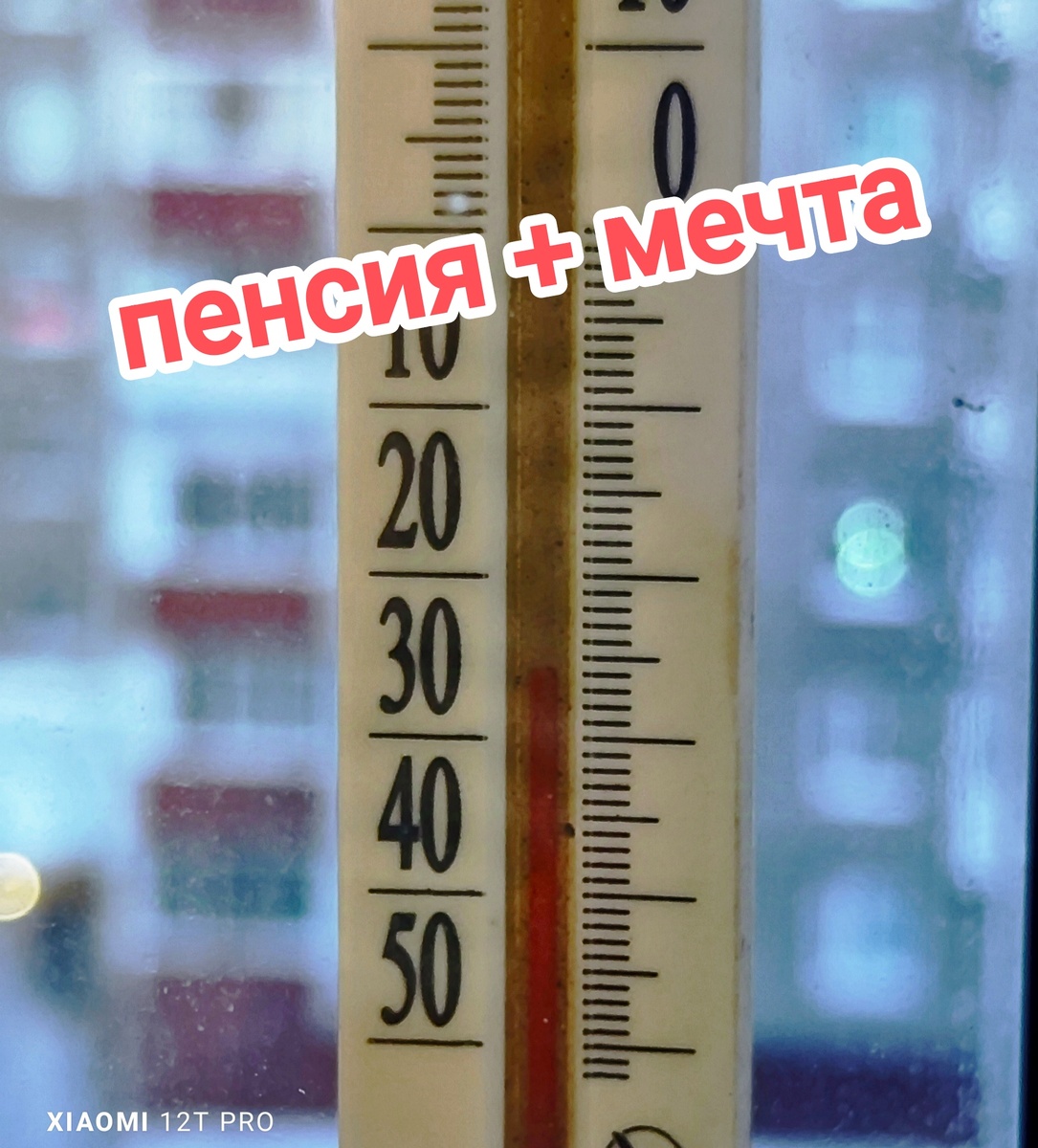 Фото автора.