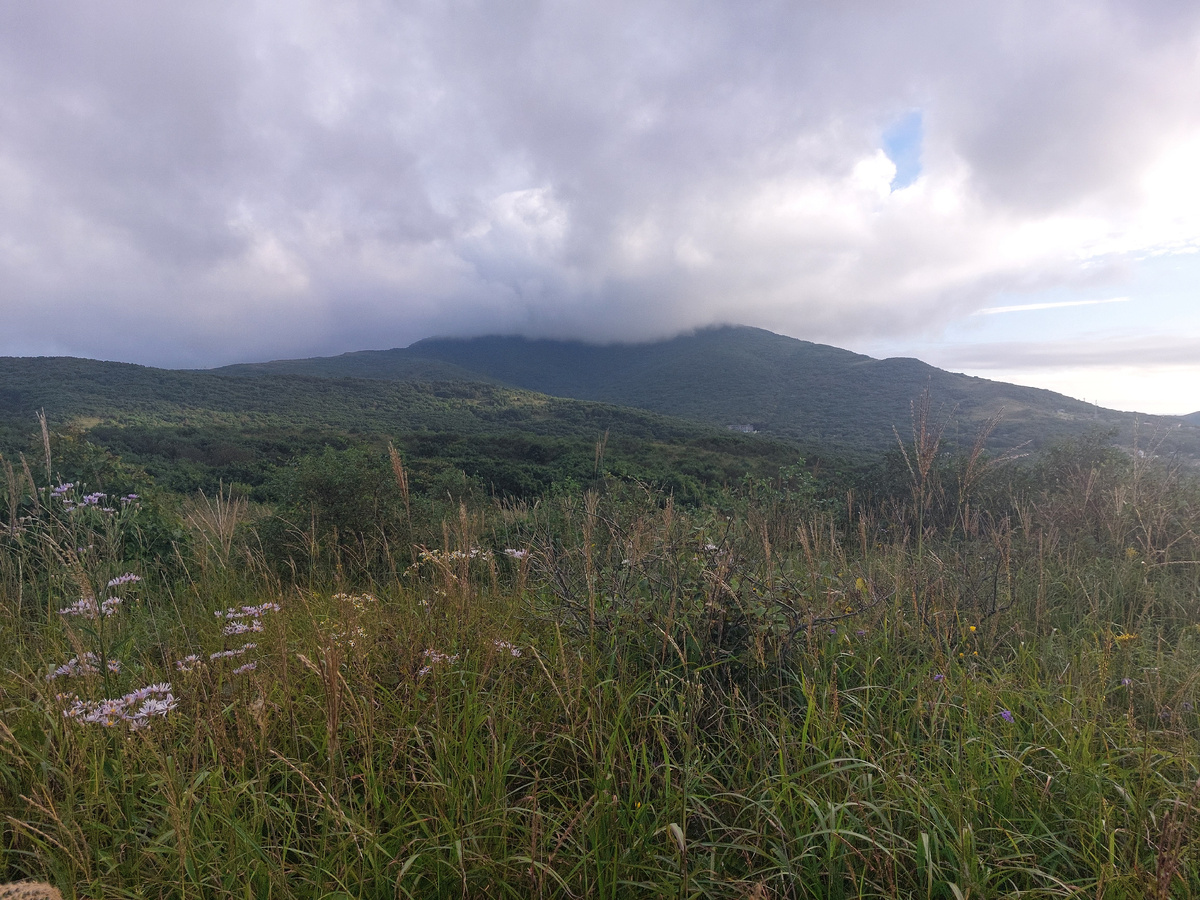 За неполных три дня погода успела показать себя в самых разных ипостасях 