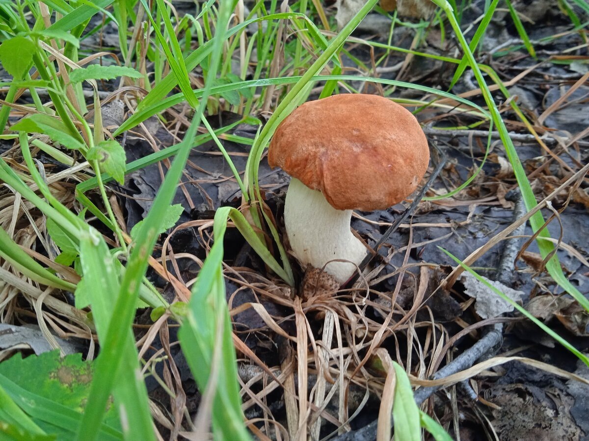 Автор фото Игорь Белоносов