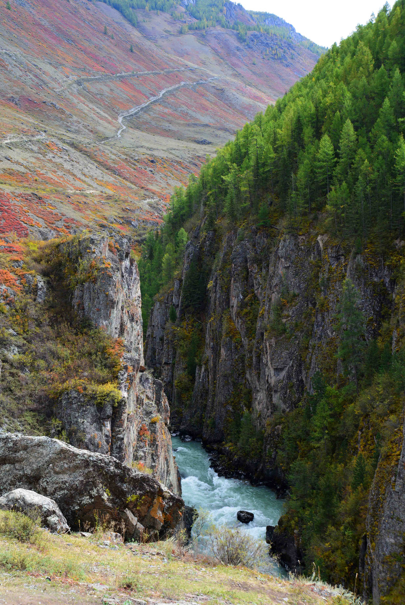 Фото Ольга Шадрина