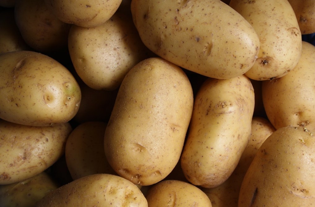    Фото: unsplash.com/@lmablankers