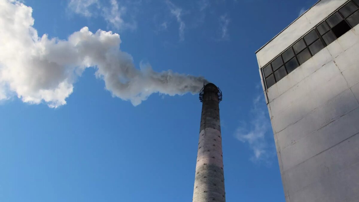     Источник: 1MI