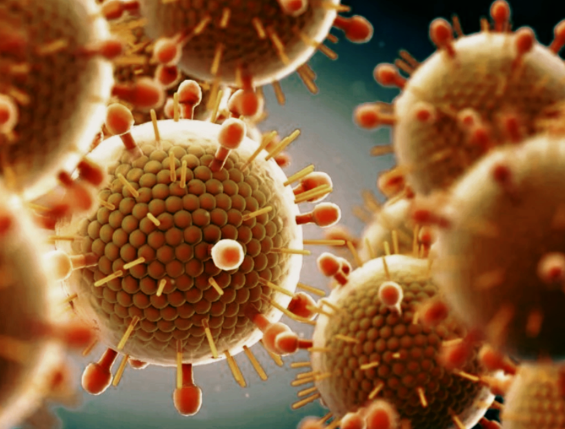 Изображение возбудителя вируса эпидемического паротита 